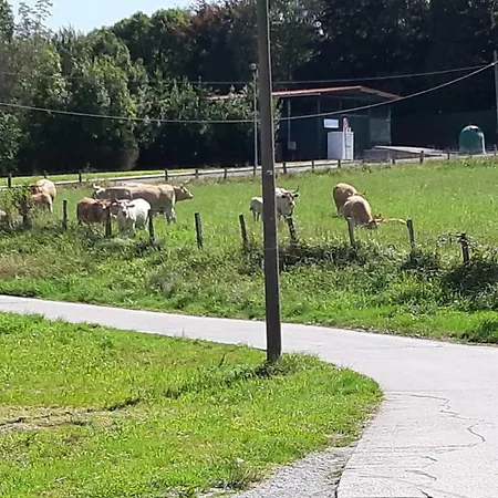 Irigoien Casa di campagna *