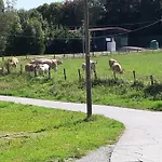 Irigoien Venkovský dům *