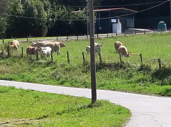 Irigoien Casa di campagna *